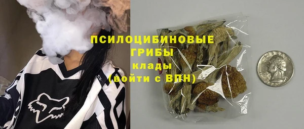 эйфоретик Пересвет