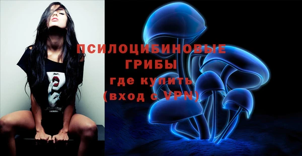 MDMA Пестово