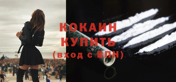 эйфоретик Пересвет