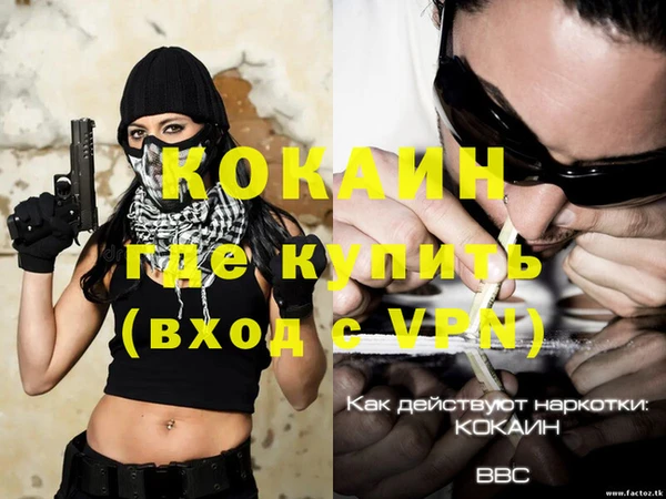 эйфоретик Пересвет