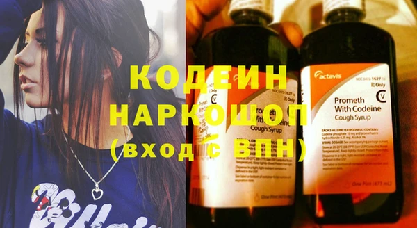 эйфоретик Пересвет