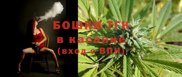 эйфоретик Пересвет
