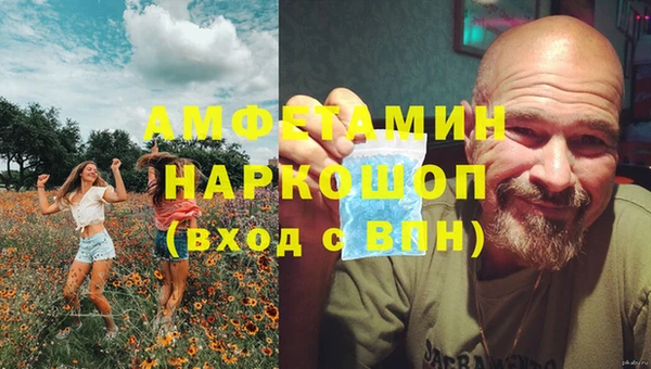 эйфоретик Пересвет